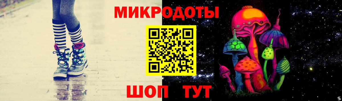 Губкин  хочу   Вход с VPN  Псилоцибиновые грибы Psilocybine cubensis 